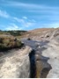 Picture of QWANTINI - HARRISMITH