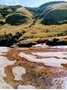 Picture of QWANTINI - HARRISMITH