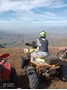 Picture of QWANTINI - HARRISMITH