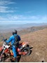 Picture of QWANTINI - HARRISMITH