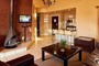 Picture of QWANTINI - HARRISMITH