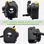 Picture of Handlebar Switch Assembly Complete