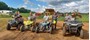Picture of DIGGERS-INN