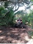 Picture of Transkei