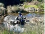 Picture of Transkei