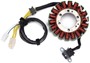 Picture of STATOR COIL