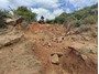 Picture of Clarens 