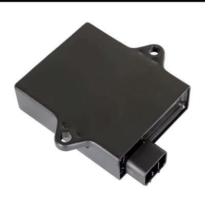 Picture of DS 650, 2003-2007 - CDI